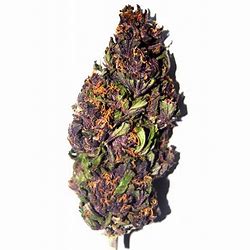 Marihuana Purple Haze 7g (secundaria)